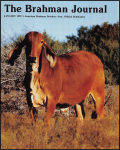 01-01-91-cover