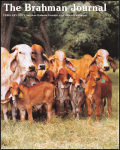 02-01-91-cover