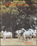 08-01-79-cover