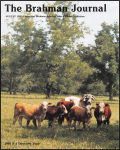 08-01-91-cover