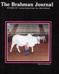 09-01-91-cover