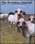 11-01-91-cover