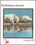 12-01-77-cover