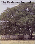 1999_11