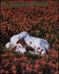 2001_05