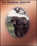 2002_07