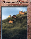 2003_01