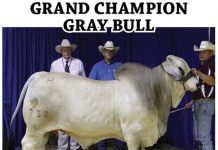 2016 Tennessee State Fair Show Results