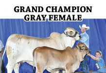 2016 Washington County Fair Show Results