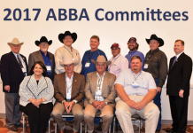 2017 ABBA Committees 2017-ABBA-committees