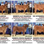 2017-AbbaNational-RedFemale-Show-Results-2