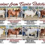 2017-Expica-Rotativa-Show-Results