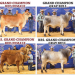 2017-RGV-Results