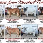 2017-Xmatkuil-Fair-Show-Results