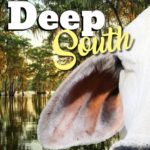 2019-Deep-South-Sale-Catalog-cover