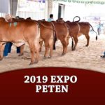 2019-ExpoPeten-2