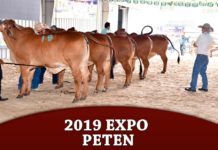 2019 Expo Peten