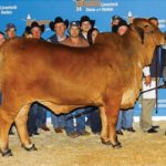 2019hlsr-grand-junior-redfemale