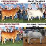 2020-ABBA-National-Brahman-Show-Results