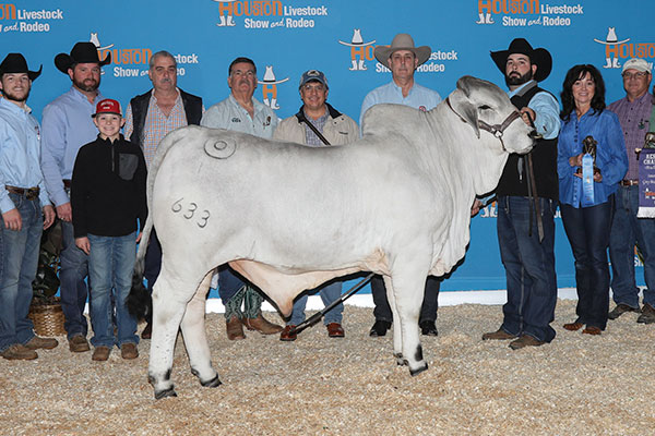 Louisiana ABBA Hoodie - Adult - National Brahman Show