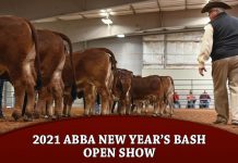 2021 ABBA New Year’s Bash Open Show