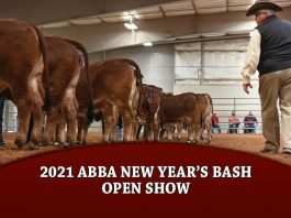 Show News The Brahman Journal