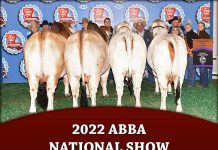 2022 ABBA National Show