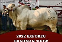 2022 Exporeu Brahman Show