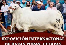 2022 Exposición Internacional de Razas Puras, Chiapas
