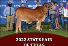 2022 State Fair of Texas