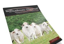 2022 October – Brahman Journal 2022 TBJ FI October