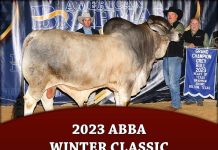 2023 ABBA Winter Classic