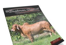 2023 January – Brahman Journal