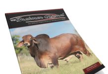 2023 November – Brahman Journal