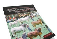 2024 April – Brahman Journal