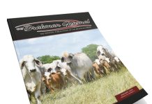 2024 February – Brahman Journal