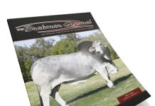 2024 May – Brahman Journal