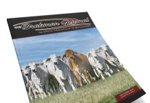 2023 December – Brahman Journal