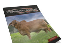 2024 October – Brahman Journal