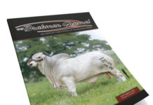 2024 September – Brahman Journal