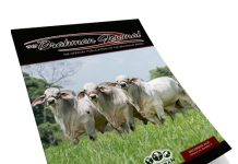 2025 December – Brahman Journal