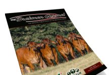 2025 July – Brahman Journal