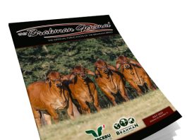 2025 July – Brahman Journal