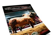 2025 June – Brahman Journal