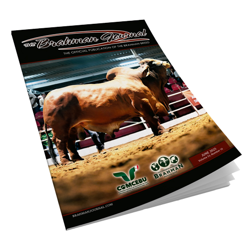 2025 June - Brahman Journal