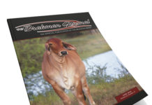 2024 July – Brahman Journal