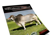 2025 May – Brahman Journal