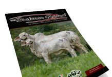 2025 November – Brahman Journal