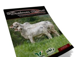 2025 October – Brahman Journal