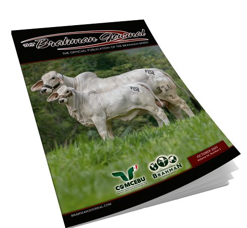 2025 November – Brahman Journal